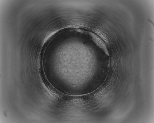 X0000096640536200802191222