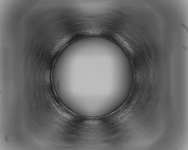 X0000096640537200802191222