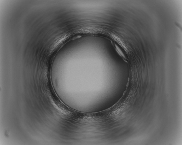 X0000096640538200802191222