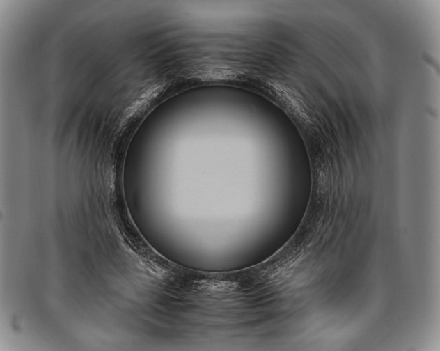 X0000096640539200802191222