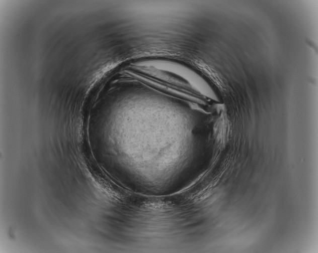 X0000096640540200802191222