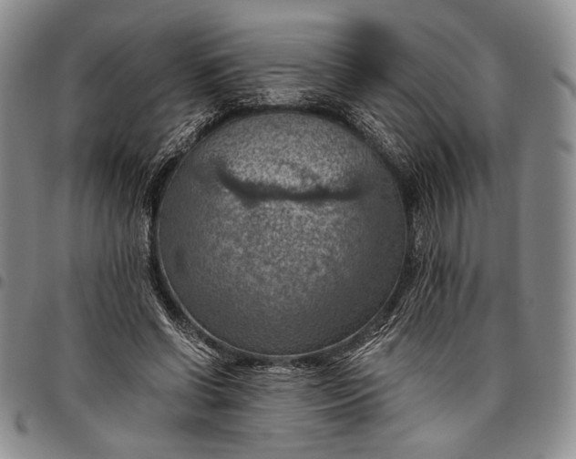 X0000096640542200802191222