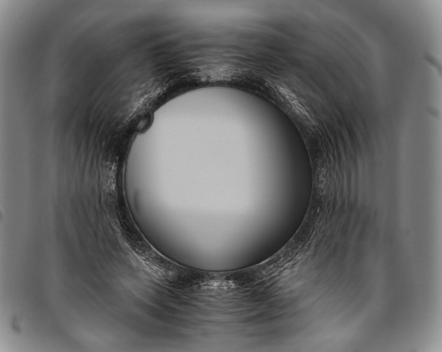 X0000096640543200802191222