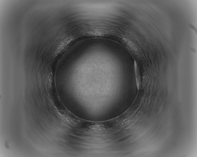 X0000096640544200802191222