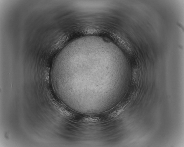 X0000096640545200802191222