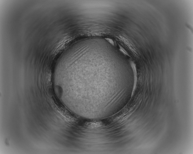 X0000096640548200802191222