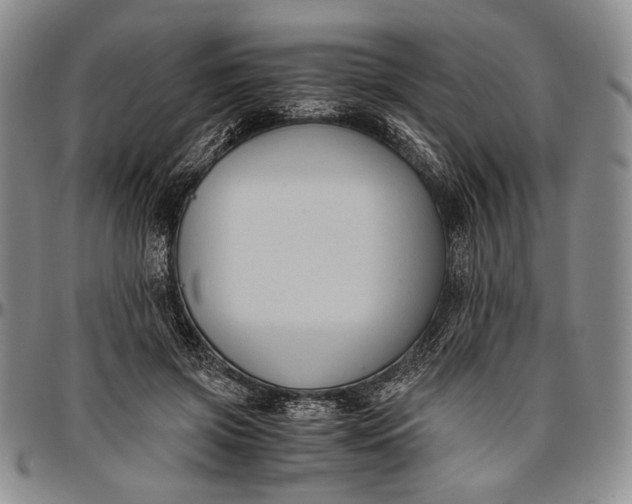 X0000096640549200802191222