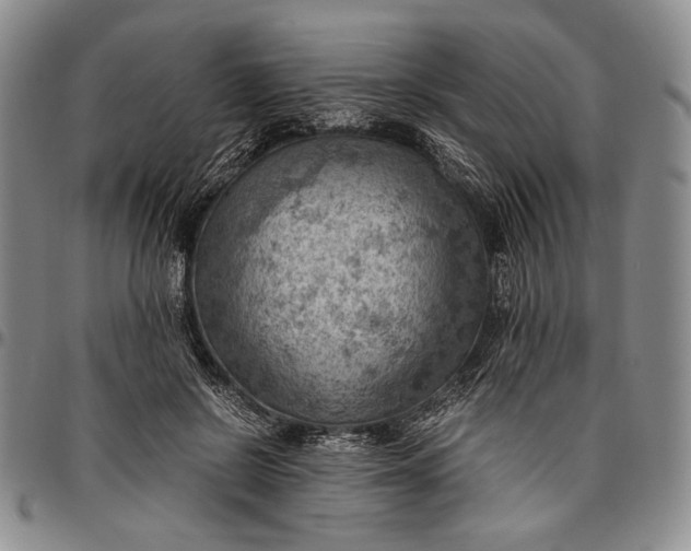 X0000096640550200802191222