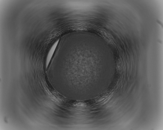 X0000096640551200802191222