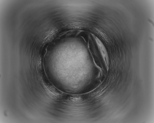 X0000096640552200802191222