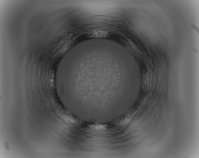 X0000096640553200802191222