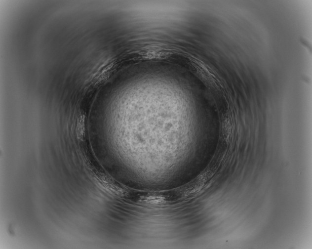 X0000096640554200802191222