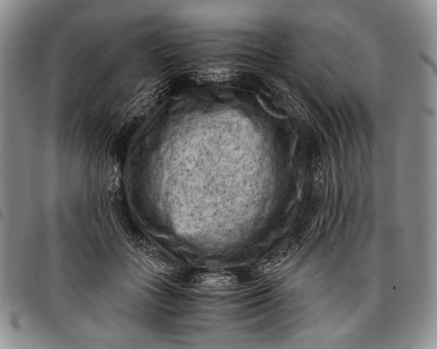 X0000096640555200802191222