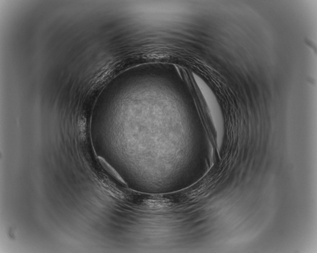 X0000096640556200802191222