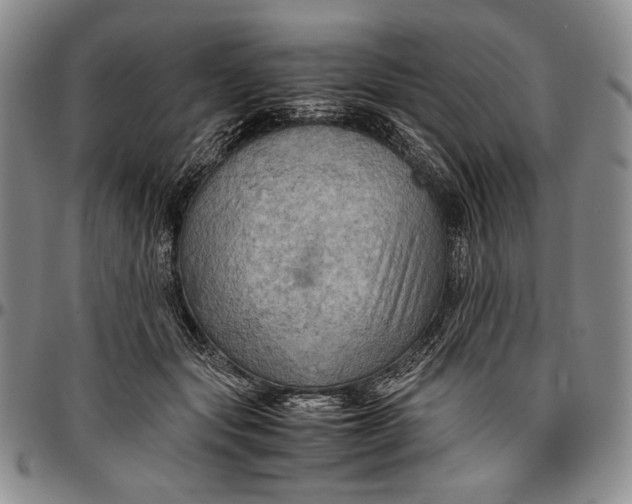 X0000096640557200802191222