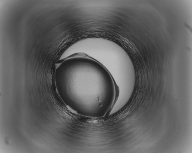 X0000096640558200802191222