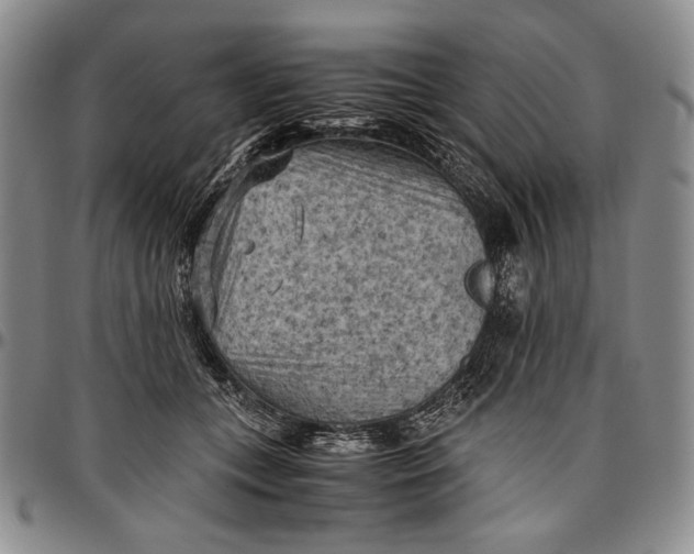 X0000096640559200802191222