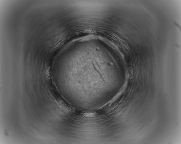 X0000096640560200802191222