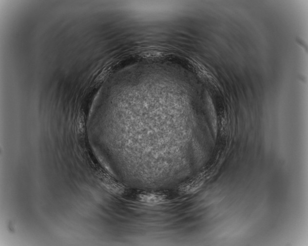 X0000096640561200802191222