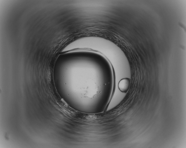 X0000096640562200802191222