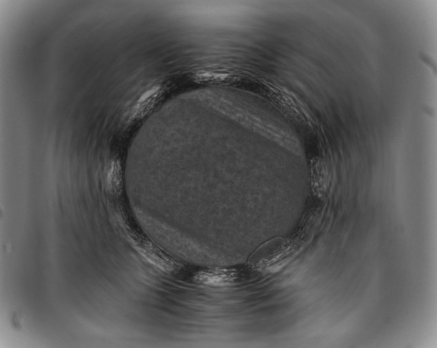 X0000096640563200802191222