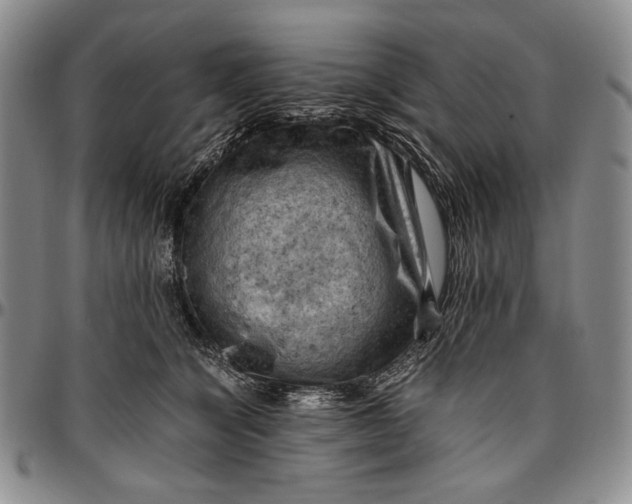 X0000096640564200802191222