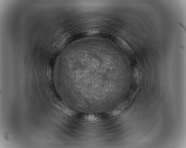 X0000096640565200802191222