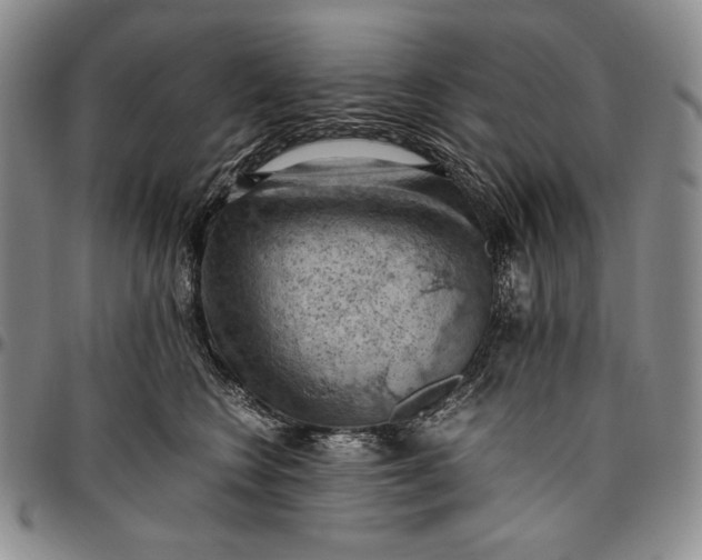 X0000096640566200802191222