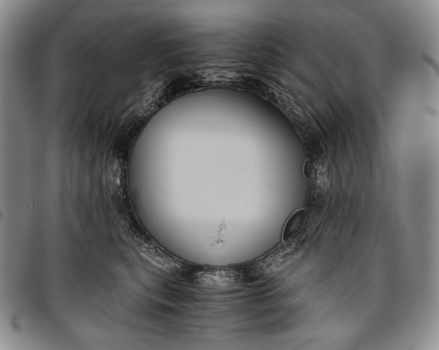 X0000096640567200802191222