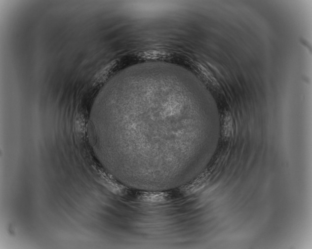 X0000096640569200802191222