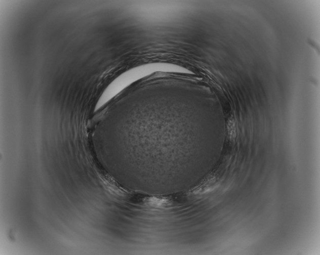 X0000096640570200802191222