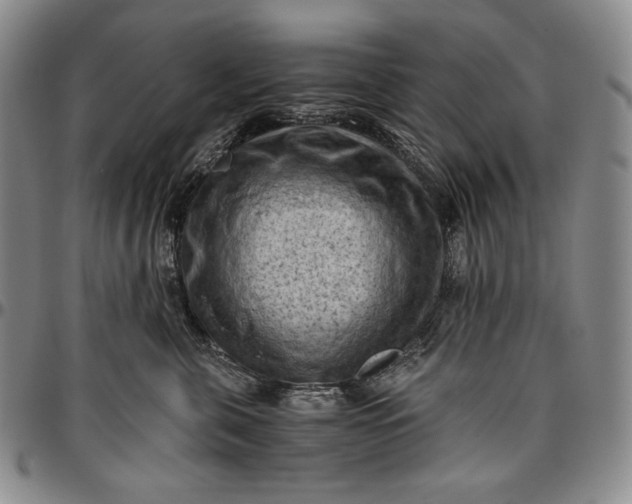 X0000096640571200802191222