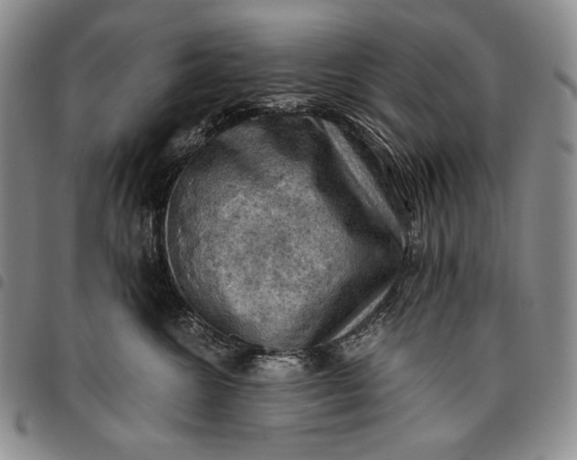 X0000096640572200802191222