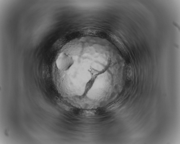 X0000096640573200802191222