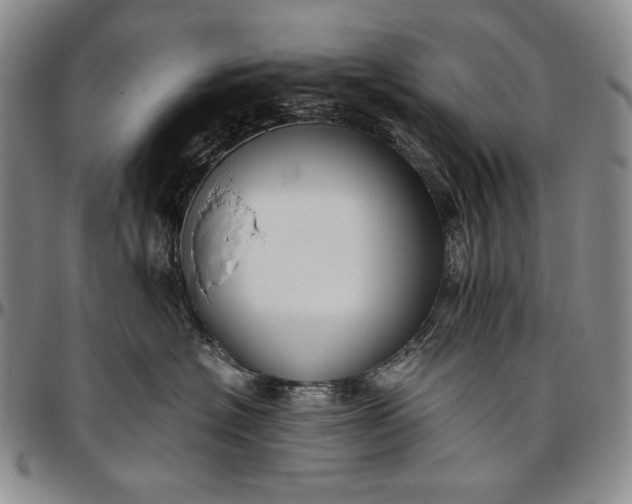 X0000096640574200802191222