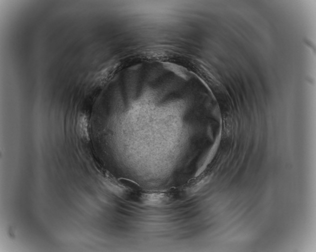 X0000096640575200802191222