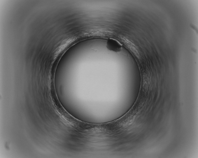 X0000096640578200802191222