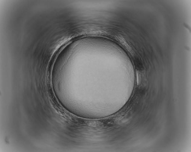 X0000096640579200802191222