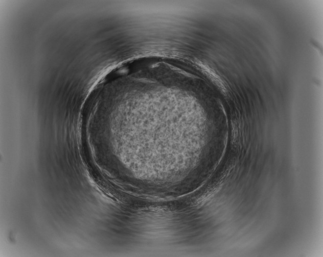 X0000096640580200802191222