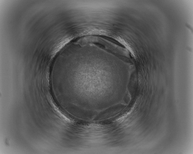 X0000096640581200802191222