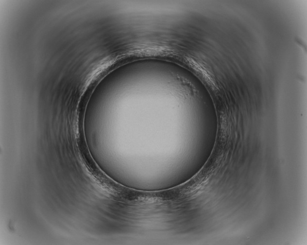 X0000096640582200802191222