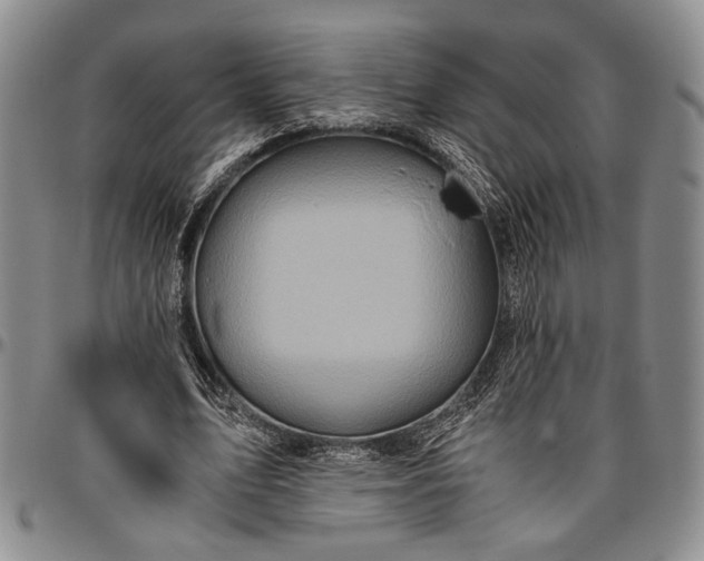 X0000096640583200802191222