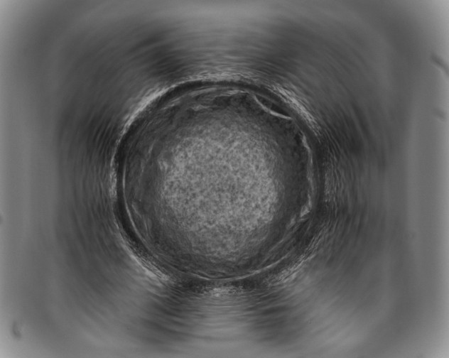 X0000096640584200802191222