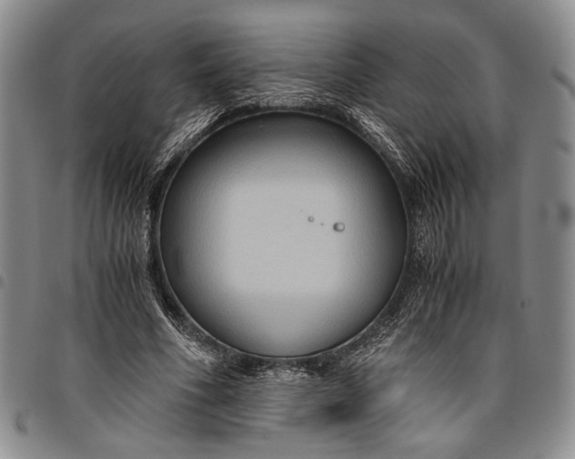 X0000096640586200802191222