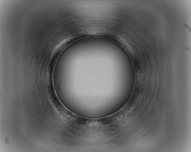 X0000096640587200802191222