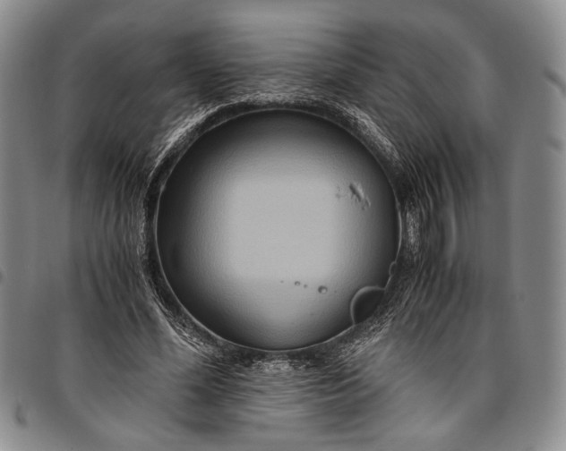 X0000096640588200802191222