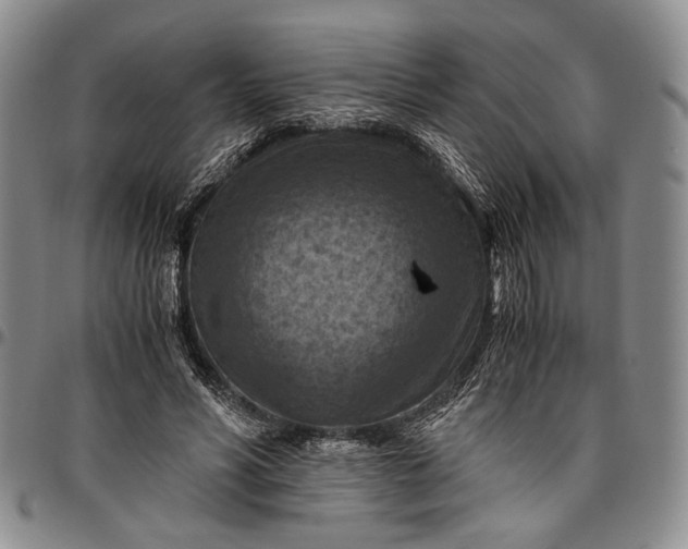 X0000096640590200802191222