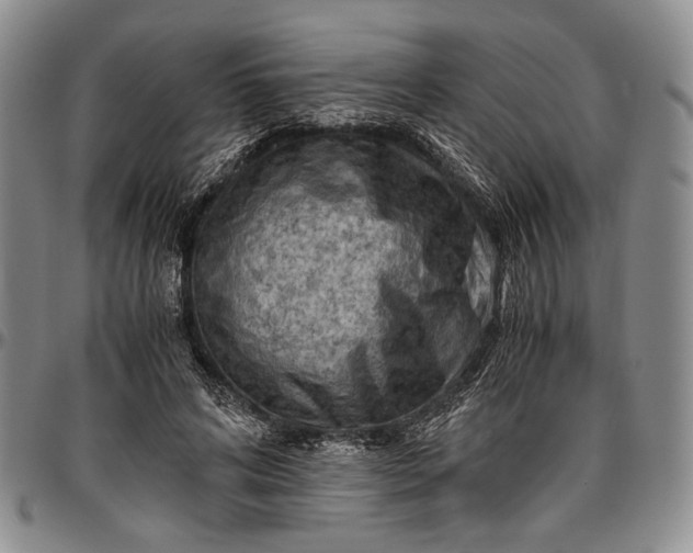 X0000096640592200802191222