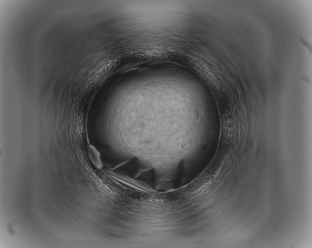 X0000096640593200802191222