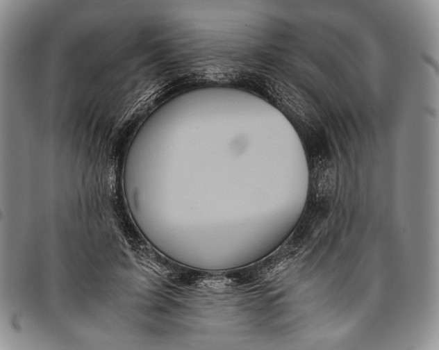 X0000096640595200802191222